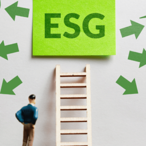 Environmental, Social, and Governance (ESG)